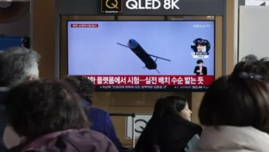Photo of  उत्तर कोरिया ने फिर दागी क्रूज मिसाइलें