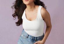 Photo of आलिया कुरैशी कौन हैं? विजय वर्मा के साथ सैर-सपाटे पर निकलकर बटोरी चर्चा