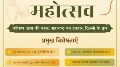 Photo of महाराष्ट्र सदन में 1 और 2 मई को ‘कोकण हापुस आम महोत्सव’ का आयोजन