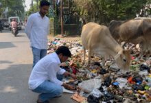 Photo of कूड़े में भोजन तलाश रही गायों की पूजा कर जताया विरोधनगर पालिका की सफाई व्यवस्था पर अधिवक्ता ने कसा तंज