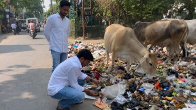 Photo of कूड़े में भोजन तलाश रही गायों की पूजा कर जताया विरोधनगर पालिका की सफाई व्यवस्था पर अधिवक्ता ने कसा तंज