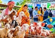 Photo of लखनऊ में पहली बार होगा ‘यू.पी. स्मॉल लाइवस्टॉक कॉन्क्लेव-2026’, भेड़, बकरी और सूकर पालन से जुड़े नवाचारों पर होगा मंथन