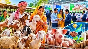 Photo of लखनऊ में पहली बार होगा ‘यू.पी. स्मॉल लाइवस्टॉक कॉन्क्लेव-2026’, भेड़, बकरी और सूकर पालन से जुड़े नवाचारों पर होगा मंथन