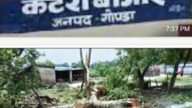 Photo of पैतृक भूमि पर जबरन कब्जा, दीवार तोड़ी-ईंटें लूटीं, हरे पेड़ काटे- कटरा पुलिस ने नहीं दर्ज की एफआईआर