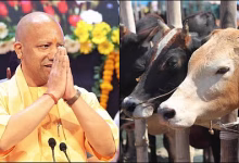 Photo of योगी सरकार में गोवंश संरक्षण को मिला आर्थिक संबल, मंडी परिषद का बजट नौ वर्षों में 15 गुना से अधिक बढ़ा